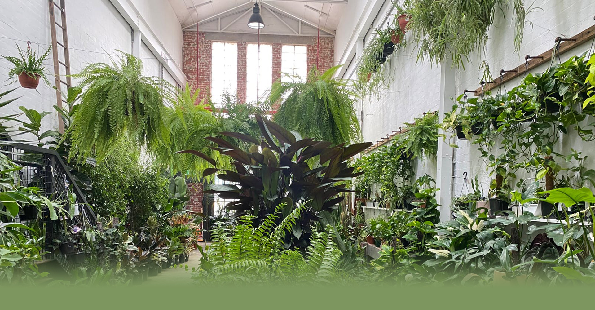 Indoor & Outdoor Plants, Homewares, Cafe & Bar in Ballarat’s Hidden Jungle.